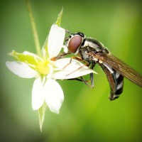 /album/lauragersubt/photolia-a02-jpg/