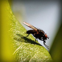 /album/lauragersubt/photolia-a04-jpg/