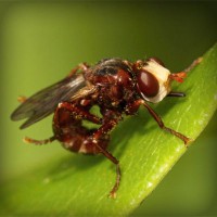 /album/lauragersubt/photolia-a06-jpg/