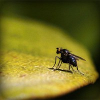 /album/lauragersubt/photolia-a07-jpg/