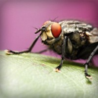 /album/lauragersubt/photolia-a08-jpg/